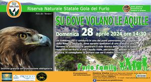 2024 04 28 DOVE VOLANO LE AQUILE