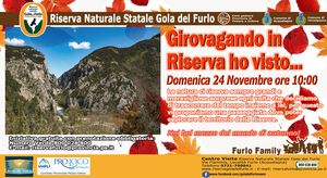 2024 11 24 Girovagando in riserva ho visto FURL0FAMILY