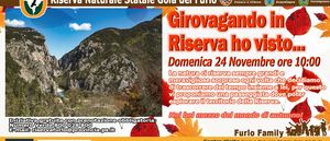 2024 11 24 Girovagando in riserva ho visto FURL0FAMILY
