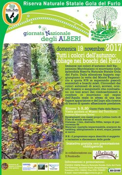 ponticello albero