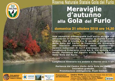 meraviglie 21 ottobre