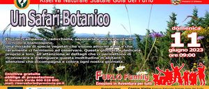 2023 06 11 safari botanico11 6