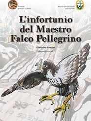 copertina fiaba falco