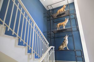 Museo Furlo 46 Museo Furlo 46