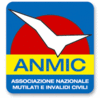 logo anmic