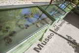 Museo Furlo 20