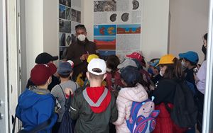Studenti in visita al Museo del Territorio nell ambito dei pacchetti didattici Cea