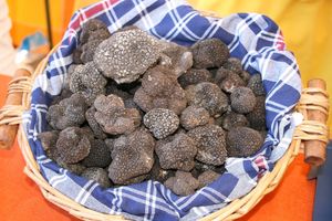 Tartufo nero estivo di Acqualagna Tartufo nero estivo di Acqualagna