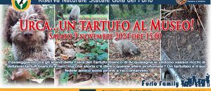 2024 11 09 FURLOFAMILY Urca un tartufo al museo