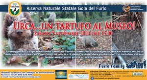 2024 11 09 FURLOFAMILY Urca un tartufo al museo