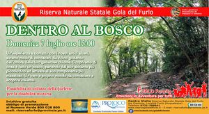 2024 07 07 DENTRO AL BOSCO  FURLO FAMILY