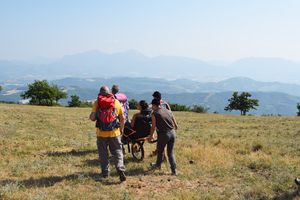 Uno dei passati corsi di conduzione Joelette promosso dalla Riserva naturale statale Gola del Furlo