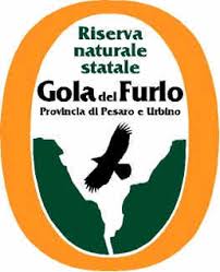 logo 01